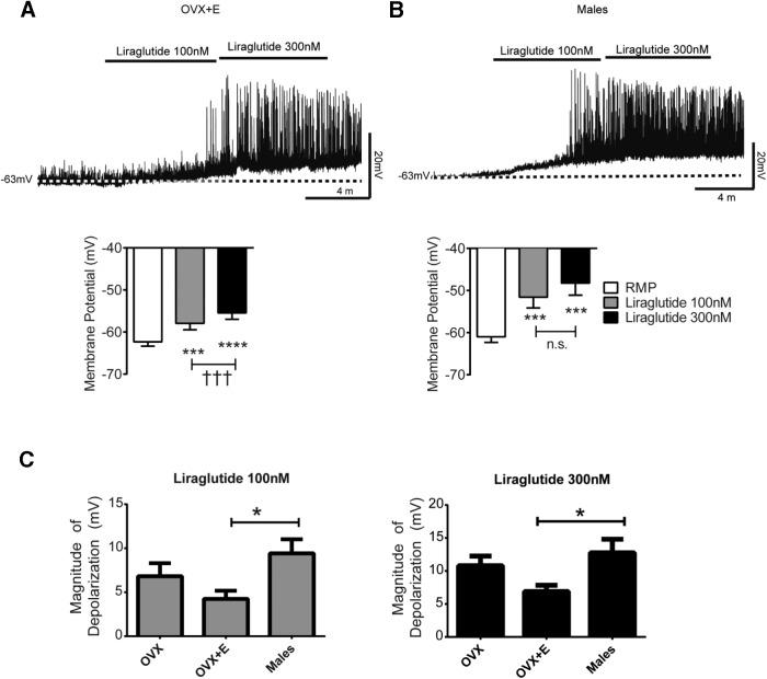 https://cdn.ncbi.nlm.nih.gov/pmc/blobs/898b/5247618/157e3a63ed36/enu0011722130003.jpg