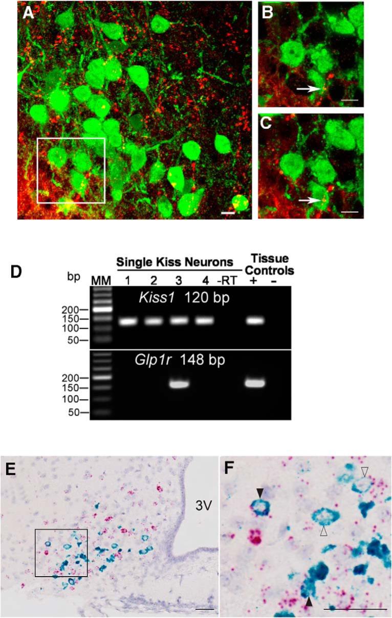 https://cdn.ncbi.nlm.nih.gov/pmc/blobs/898b/5247618/1a45a6c08219/enu0011722130001.jpg