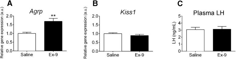 https://cdn.ncbi.nlm.nih.gov/pmc/blobs/898b/5247618/4e518f13edec/enu0011722130005.jpg