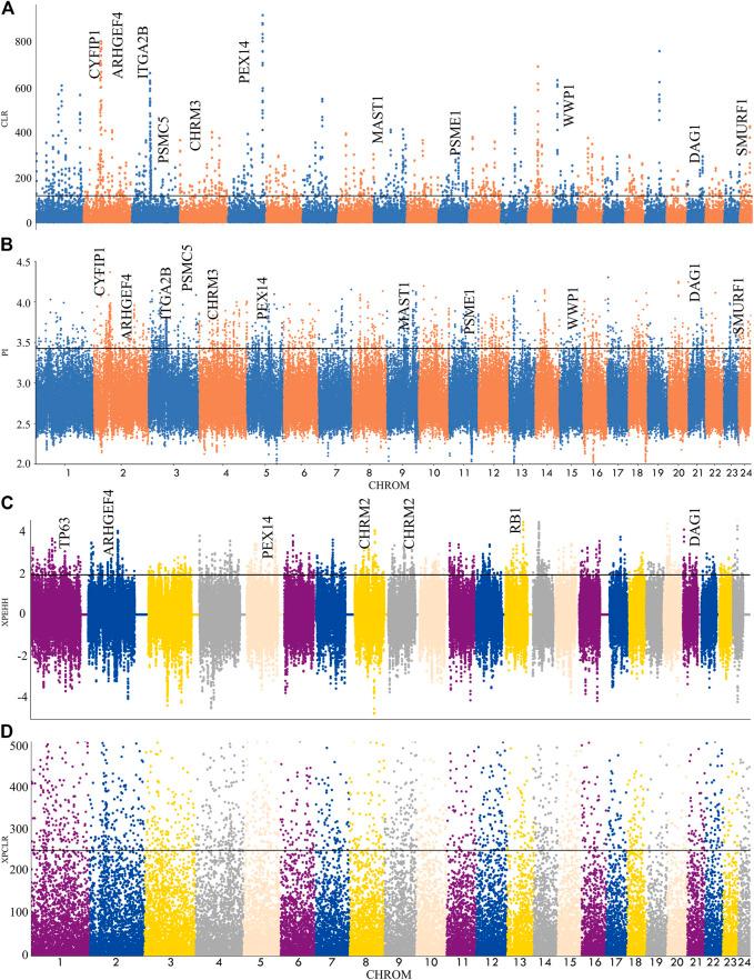 https://cdn.ncbi.nlm.nih.gov/pmc/blobs/898c/9869173/b99a3a3190b6/fgene-13-1084824-g003.jpg