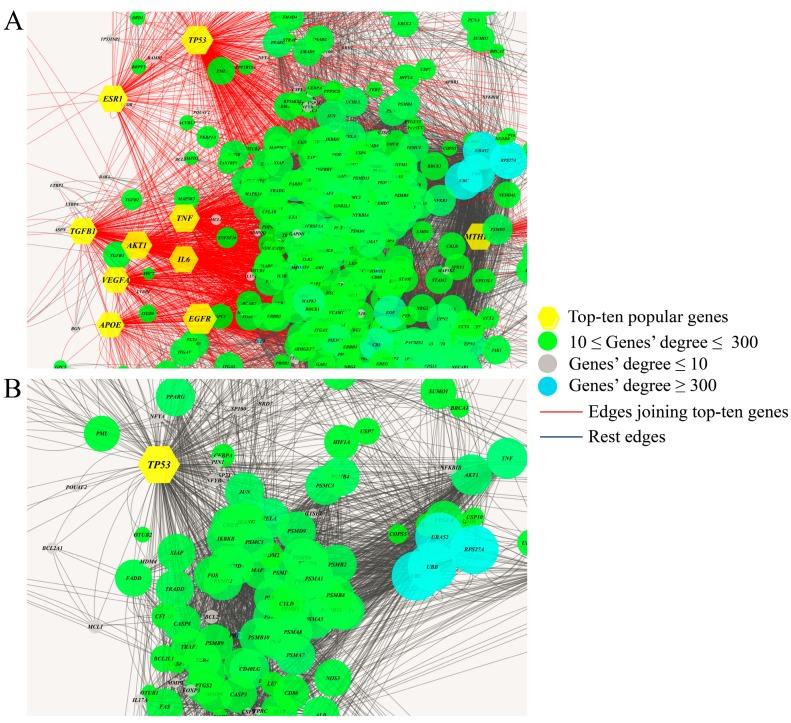 https://cdn.ncbi.nlm.nih.gov/pmc/blobs/898e/6409865/165b17373813/genes-10-00143-g004.jpg