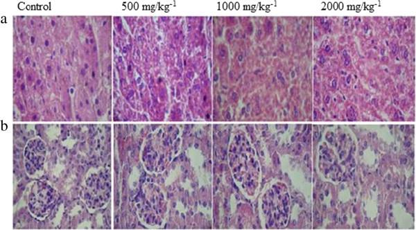https://cdn.ncbi.nlm.nih.gov/pmc/blobs/898f/4082671/7883737d21f3/1472-6882-14-209-2.jpg
