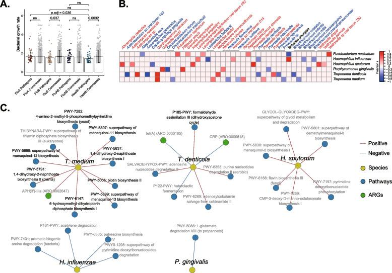 https://cdn.ncbi.nlm.nih.gov/pmc/blobs/8990/10364384/fce9121bf7b8/40168_2023_1597_Fig5_HTML.jpg