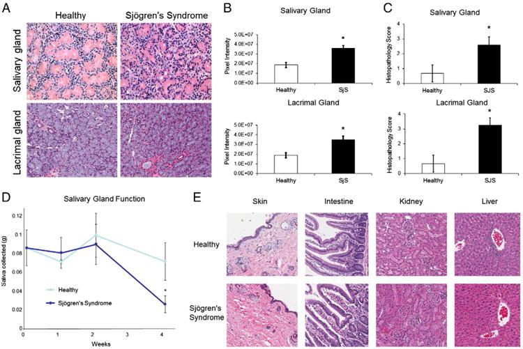 https://cdn.ncbi.nlm.nih.gov/pmc/blobs/8993/4602403/56d4a3f99704/nihms710496f2.jpg