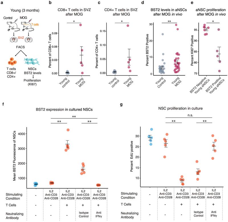 https://cdn.ncbi.nlm.nih.gov/pmc/blobs/8994/7111535/654bbdaf9fe5/nihms-1531024-f0010.jpg