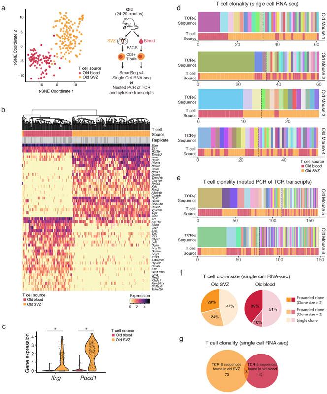 https://cdn.ncbi.nlm.nih.gov/pmc/blobs/8994/7111535/6c20be108cd7/nihms-1531024-f0002.jpg