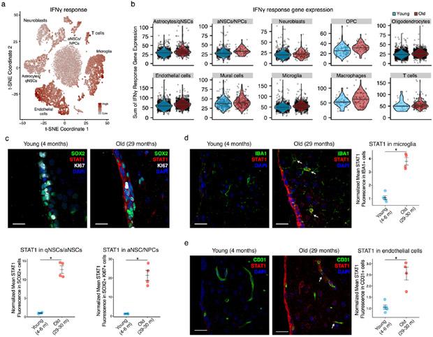 https://cdn.ncbi.nlm.nih.gov/pmc/blobs/8994/7111535/a138331937e5/nihms-1531024-f0003.jpg