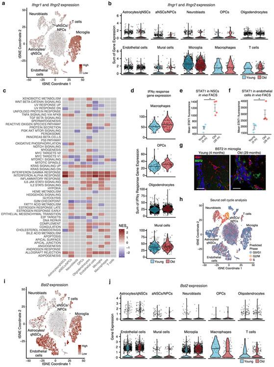 https://cdn.ncbi.nlm.nih.gov/pmc/blobs/8994/7111535/a5c2175d647f/nihms-1531024-f0008.jpg