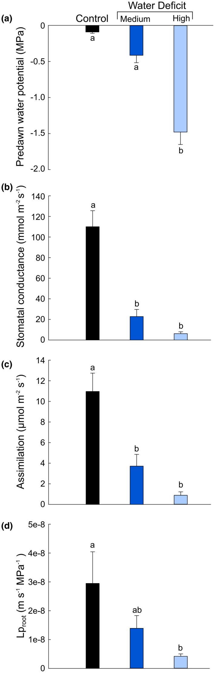 https://cdn.ncbi.nlm.nih.gov/pmc/blobs/8994/7680640/a3b8cfeab9bf/PLD3-4-e00278-g003.jpg
