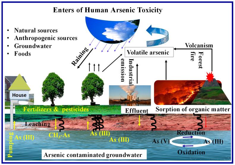 https://cdn.ncbi.nlm.nih.gov/pmc/blobs/8994/8235315/5b398d01aadf/toxics-09-00143-g001.jpg