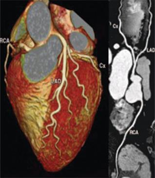 https://cdn.ncbi.nlm.nih.gov/pmc/blobs/8995/12129275/7d1e5c9e0832/JCE-35-8-g008.jpg