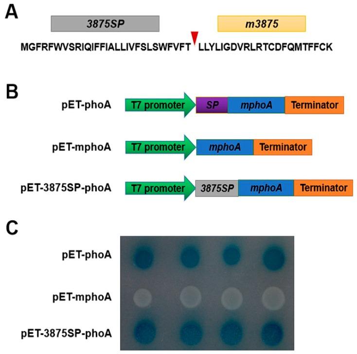 https://cdn.ncbi.nlm.nih.gov/pmc/blobs/8996/6888338/394491f60e0b/ijms-20-05802-g001.jpg
