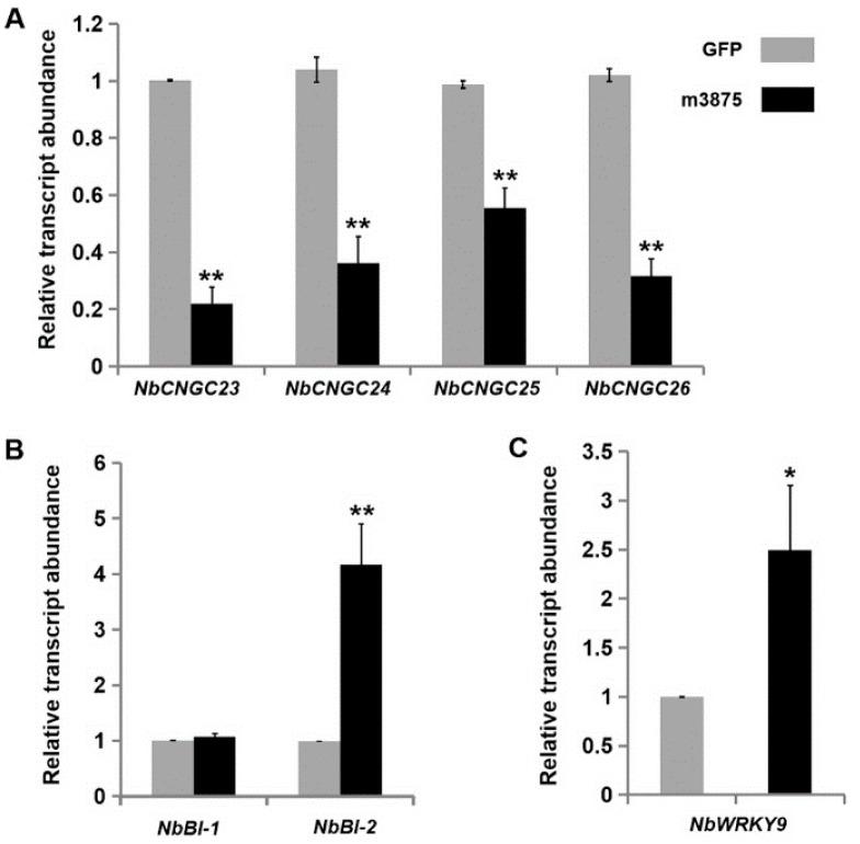 https://cdn.ncbi.nlm.nih.gov/pmc/blobs/8996/6888338/739af13117c3/ijms-20-05802-g006.jpg