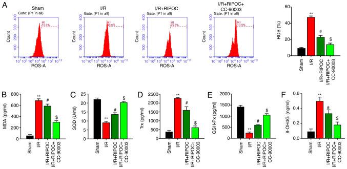 https://cdn.ncbi.nlm.nih.gov/pmc/blobs/8996/8441982/a6676f3baac6/mmr-24-05-12413-g02.jpg