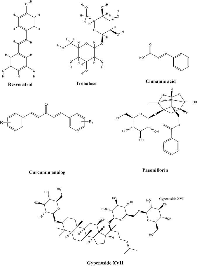 https://cdn.ncbi.nlm.nih.gov/pmc/blobs/8996/8712758/5e4b8c97f37b/fnins-15-777347-g003.jpg