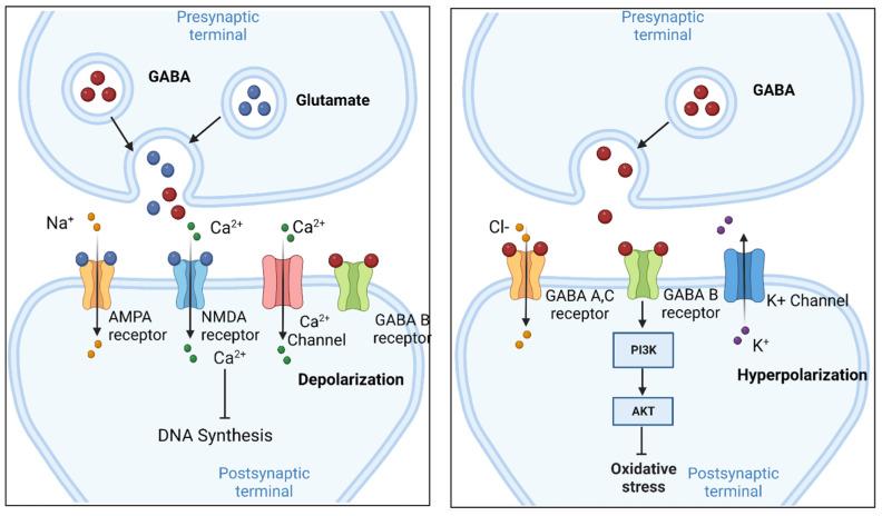 https://cdn.ncbi.nlm.nih.gov/pmc/blobs/8997/10003236/5da3908d34a0/ijms-24-04584-g001.jpg