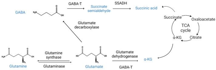 https://cdn.ncbi.nlm.nih.gov/pmc/blobs/8997/10003236/ad9e12b28990/ijms-24-04584-g004.jpg