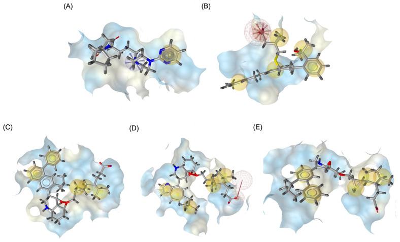 https://cdn.ncbi.nlm.nih.gov/pmc/blobs/8997/12030116/4551ef68a27a/pharmaceuticals-18-00559-g010.jpg