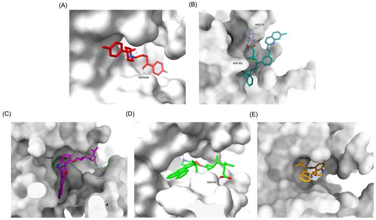 https://cdn.ncbi.nlm.nih.gov/pmc/blobs/8997/12030116/94d3c60af1a8/pharmaceuticals-18-00559-g002.jpg