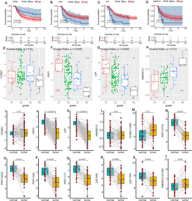 https://cdn.ncbi.nlm.nih.gov/pmc/blobs/8997/12032815/3d87d8b2c2d0/12885_2025_14150_Fig7_HTML.jpg