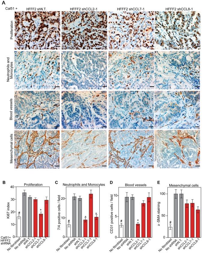 https://cdn.ncbi.nlm.nih.gov/pmc/blobs/8998/3778011/2038c8f2fb1c/pgen.1003789.g004.jpg