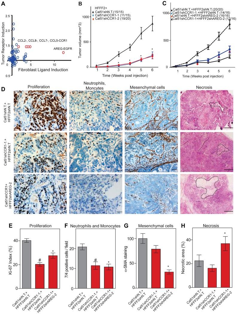 https://cdn.ncbi.nlm.nih.gov/pmc/blobs/8998/3778011/28ea0463452b/pgen.1003789.g007.jpg