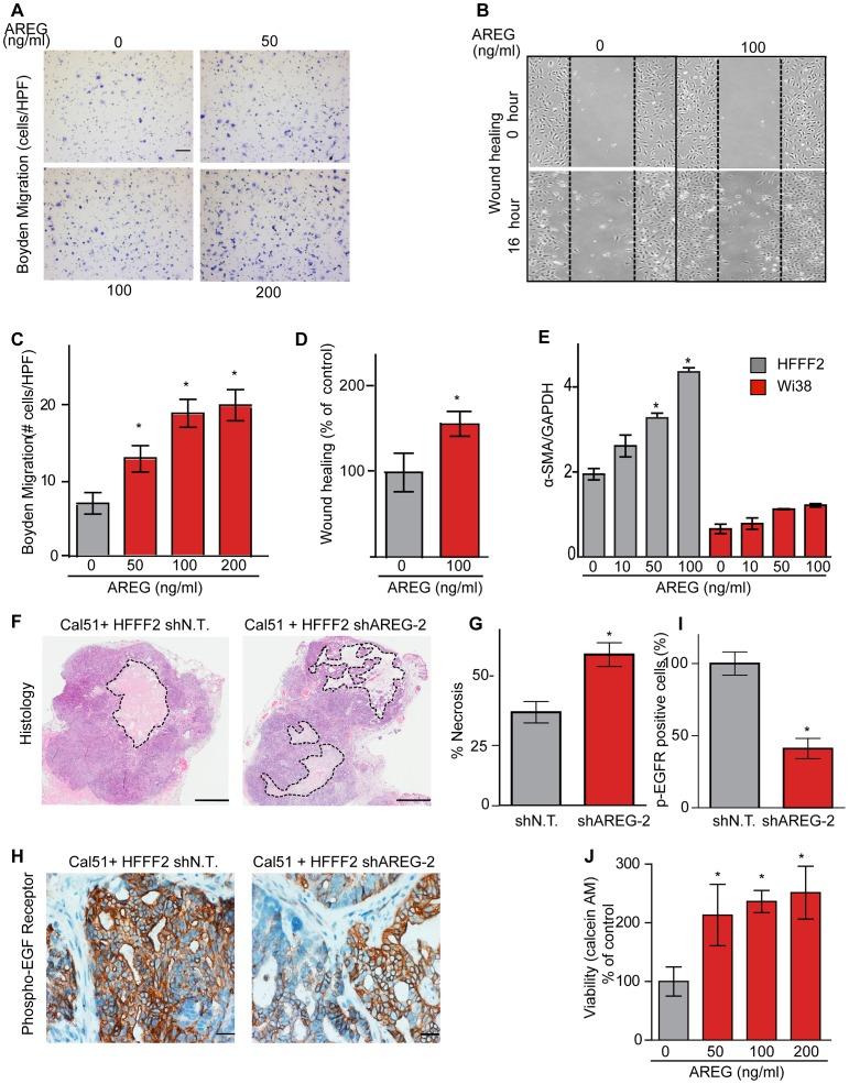 https://cdn.ncbi.nlm.nih.gov/pmc/blobs/8998/3778011/be3d76ae8127/pgen.1003789.g006.jpg