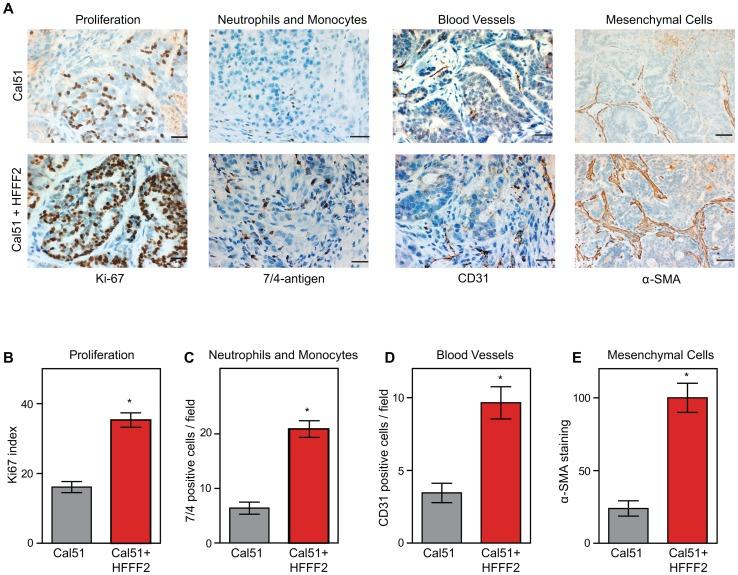 https://cdn.ncbi.nlm.nih.gov/pmc/blobs/8998/3778011/c7948987e5e3/pgen.1003789.g002.jpg