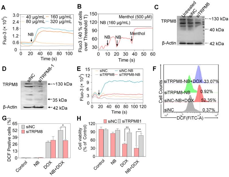 https://cdn.ncbi.nlm.nih.gov/pmc/blobs/8998/7481425/8066f283f980/thnov10p10154g005.jpg