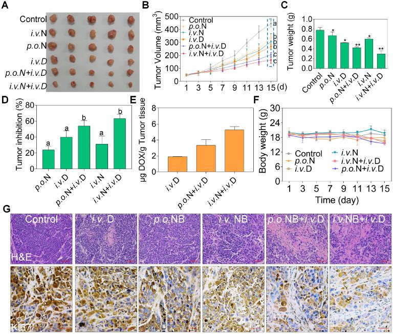 https://cdn.ncbi.nlm.nih.gov/pmc/blobs/8998/7481425/ed3adf7888fd/thnov10p10154g006.jpg