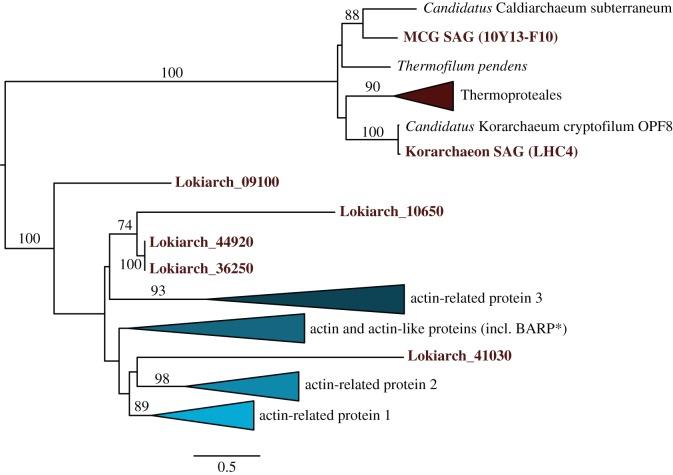https://cdn.ncbi.nlm.nih.gov/pmc/blobs/899b/4571567/92e4fc3dcebe/rstb20140328-g6.jpg