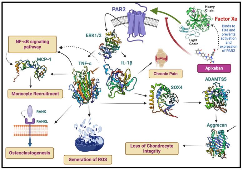 https://cdn.ncbi.nlm.nih.gov/pmc/blobs/899d/11355043/a3834dc5bd73/ijms-25-08727-g005.jpg