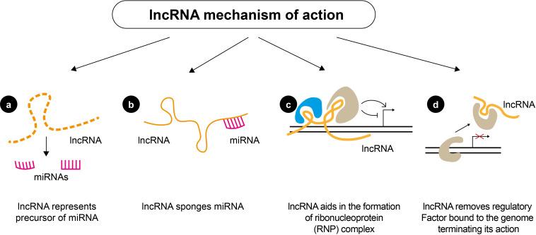 https://cdn.ncbi.nlm.nih.gov/pmc/blobs/899e/10401601/ea0bf30243e9/fendo-14-1218320-g004.jpg