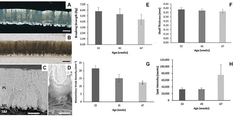 https://cdn.ncbi.nlm.nih.gov/pmc/blobs/899f/8319018/ecc2218d1140/gr1.jpg