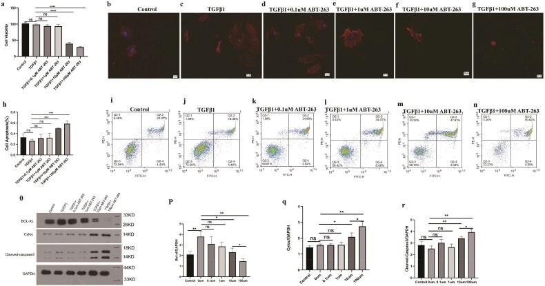 https://cdn.ncbi.nlm.nih.gov/pmc/blobs/89a1/10167888/4e0e43742332/IRNF_A_2194440_F0007_C.jpg