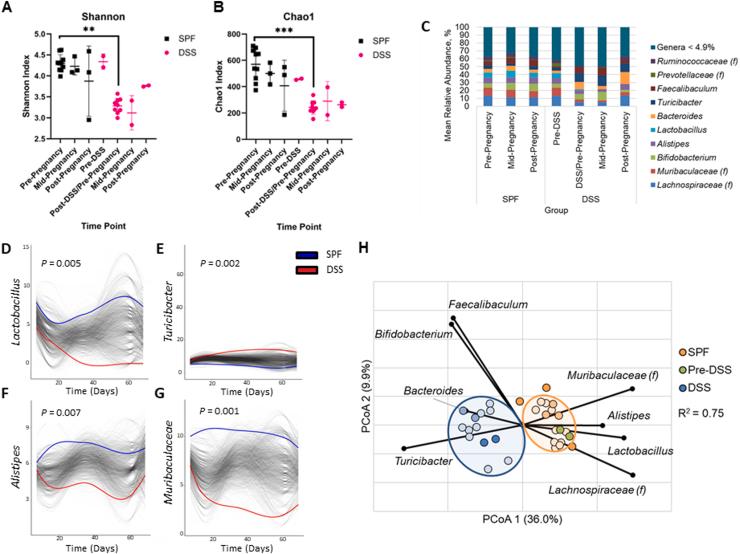 https://cdn.ncbi.nlm.nih.gov/pmc/blobs/89a1/12166456/3ef579b7583d/gr5.jpg