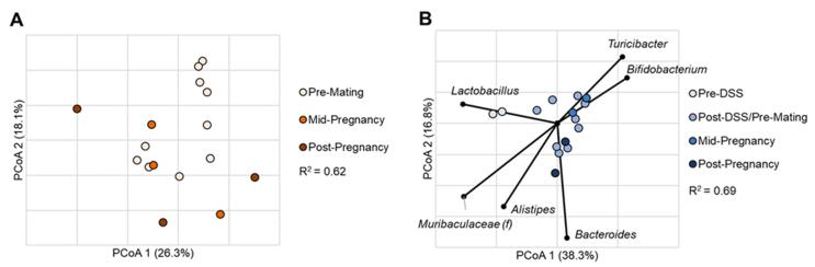 https://cdn.ncbi.nlm.nih.gov/pmc/blobs/89a1/12166456/677ea262890a/figs3.jpg