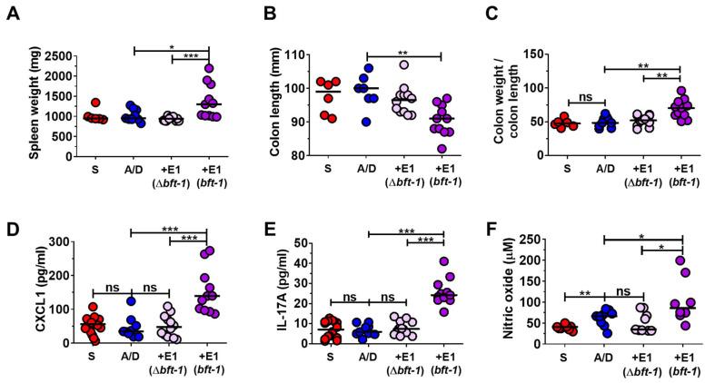 https://cdn.ncbi.nlm.nih.gov/pmc/blobs/89a1/12249562/c171b1463f16/ijms-26-06218-g004.jpg