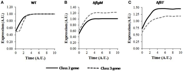 https://cdn.ncbi.nlm.nih.gov/pmc/blobs/89a3/5809477/42a261426b53/fcimb-08-00036-g0004.jpg