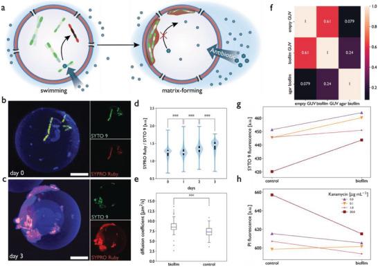 https://cdn.ncbi.nlm.nih.gov/pmc/blobs/89a4/10953582/00f8b361b980/ADVS-11-2307103-g002.jpg
