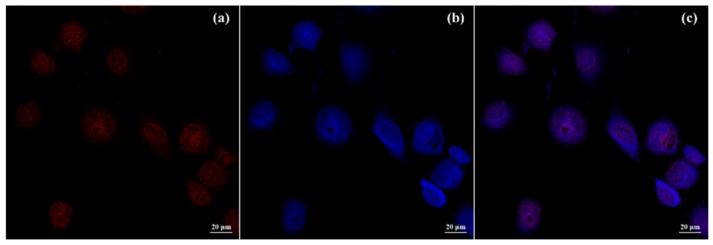 https://cdn.ncbi.nlm.nih.gov/pmc/blobs/89a4/11357291/dfb078ea9783/molecules-29-03837-g006.jpg