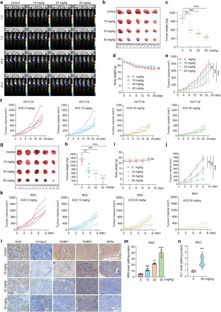 https://cdn.ncbi.nlm.nih.gov/pmc/blobs/89a4/12230175/7e89955df10b/41392_2025_2296_Fig4_HTML.jpg