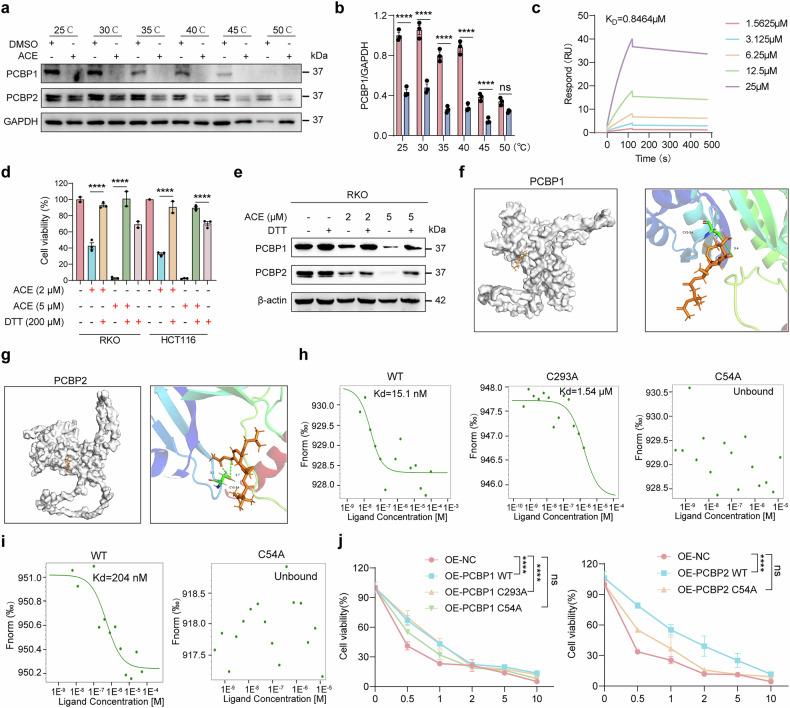 https://cdn.ncbi.nlm.nih.gov/pmc/blobs/89a4/12230175/b4d81daab23a/41392_2025_2296_Fig6_HTML.jpg