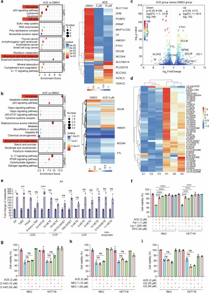 https://cdn.ncbi.nlm.nih.gov/pmc/blobs/89a4/12230175/efa2a69b92fe/41392_2025_2296_Fig2_HTML.jpg