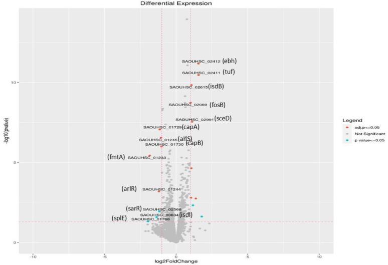 https://cdn.ncbi.nlm.nih.gov/pmc/blobs/89a6/12053402/19cd8add198a/IJM-17-211-g002.jpg