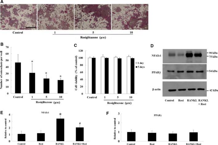 https://cdn.ncbi.nlm.nih.gov/pmc/blobs/89a6/6168694/cec22cd236ba/FEB4-8-1584-g001.jpg