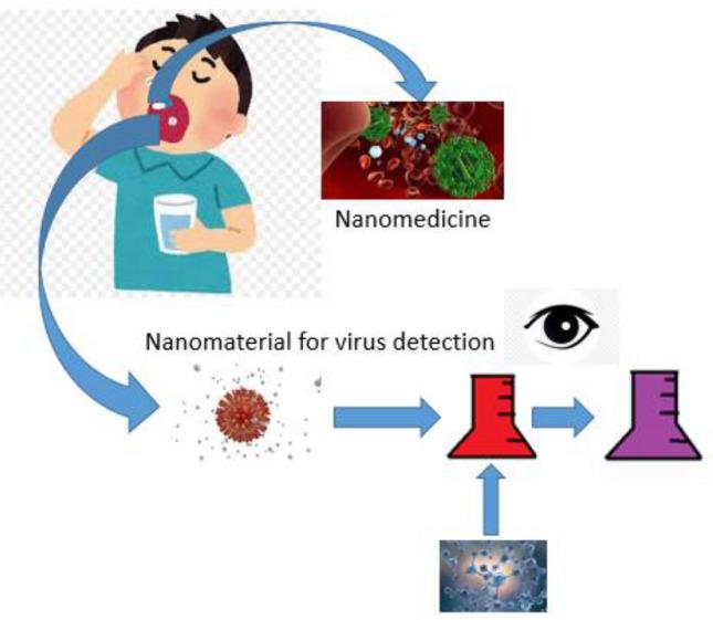 https://cdn.ncbi.nlm.nih.gov/pmc/blobs/89a7/10171735/e99b467dfbc9/44174_2023_86_Fig9_HTML.jpg