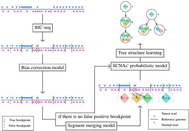 https://cdn.ncbi.nlm.nih.gov/pmc/blobs/89a7/7058119/01a31a5192a4/fgene-10-01374-g003.jpg