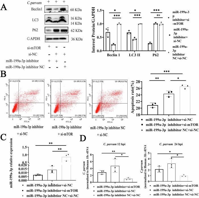 https://cdn.ncbi.nlm.nih.gov/pmc/blobs/89aa/11291649/e818047770ee/42003_2024_6632_Fig5_HTML.jpg