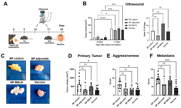 https://cdn.ncbi.nlm.nih.gov/pmc/blobs/89ab/11946167/a327d9325871/vaccines-13-00314-g005.jpg